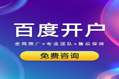 SEM服务公司助力品牌崛起案例